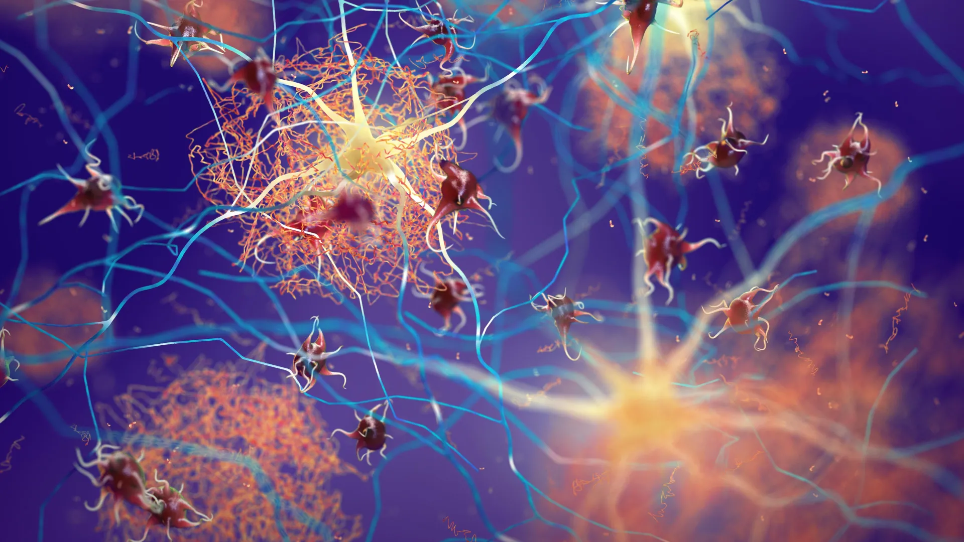 Alzheimer’a Karşı Çığır Açan Keşif: Beyin Kendi Kendini Temizleyebilir