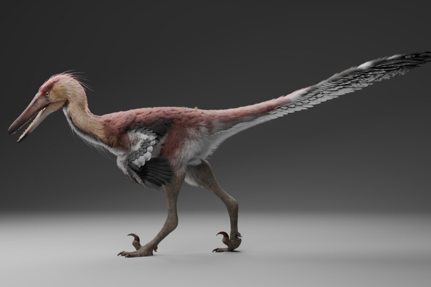 Balıkçıl Gibi Avlanan Dinozor: Patagonya’da Kank Australis Keşfedildi