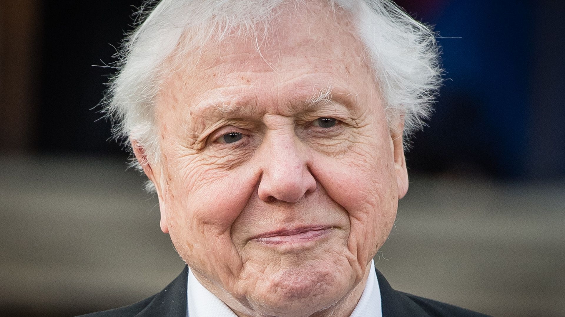 Doğanın Sesi 100 Yaşında: Sir David Attenborough Hakkında Az Bilinen 13 Şaşırtıcı Gerçek